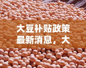 大豆补贴政策最新动态，影响、机遇与挑战全面解析