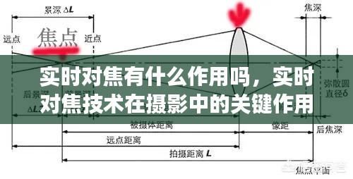 蹑蹻檐簦 第3页