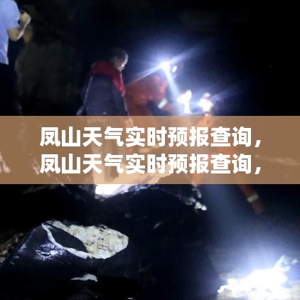 投诉说明 第242页
