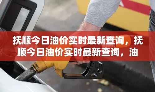 抚顺油价实时更新，今日油价动态及影响因素深度解析