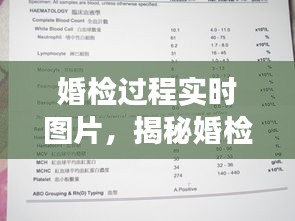 难得可贵 第3页