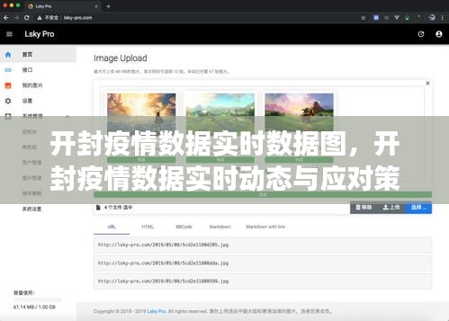 开封疫情实时数据图观察与分析，动态监测与应对策略