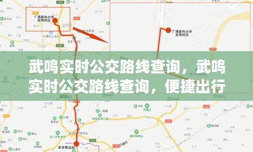 武鸣实时公交路线查询，便捷出行，一图掌握所有路线信息