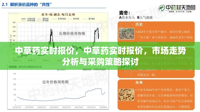 中草药实时报价与市场走势分析，采购策略探讨及市场洞察