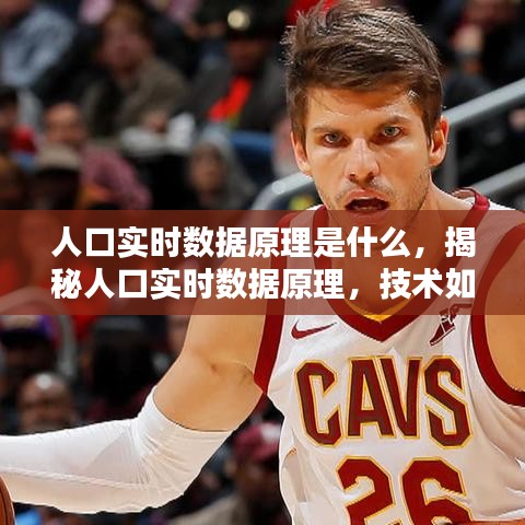 采椽不斫 第3页