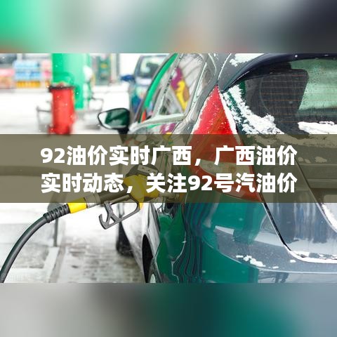 反朴归真 第3页