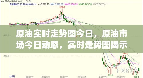今日原油市场实时走势图解析，洞悉市场动态与最新趋势