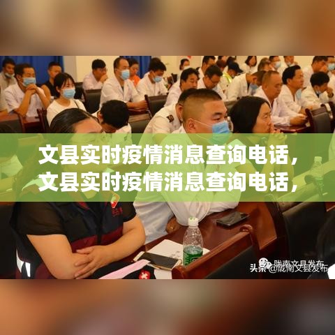 文县实时疫情消息查询电话，透明沟通，共筑防疫安全线壁垒！
