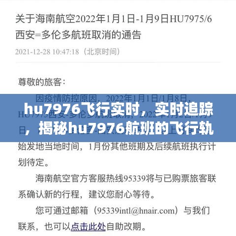 笨鸟先飞 第3页