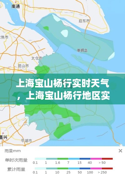 上海宝山杨行地区实时天气分析与观察报告