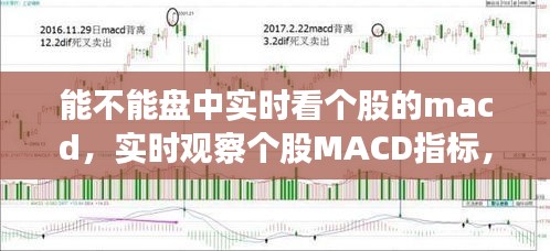 实时观察个股MACD指标，开启股市动态分析新境界！