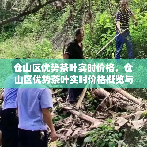 鲜花用途 第212页