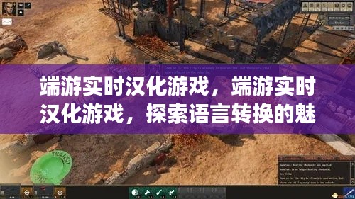 端游实时汉化游戏，探索语言转换的魅力与挑战与策略