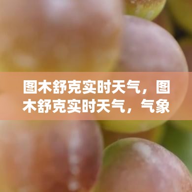 图木舒克实时天气状况及气象变化对日常生活的影响