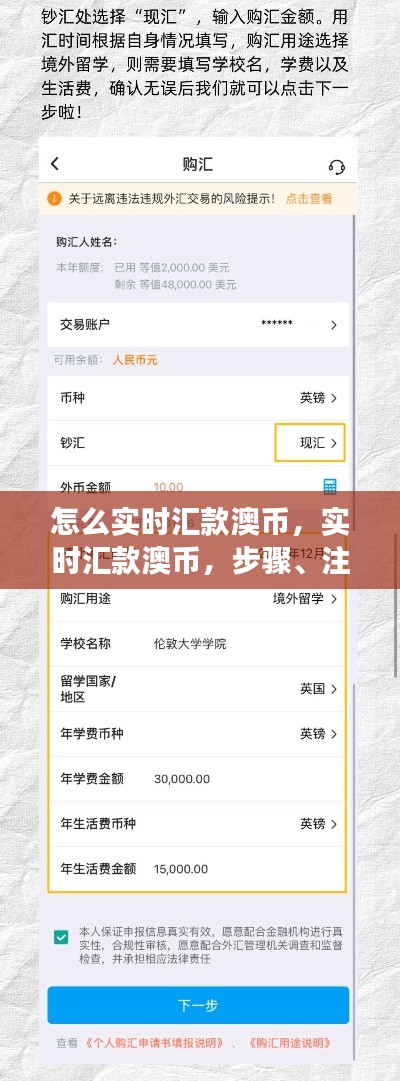 实时汇款澳币，步骤、注意事项与最佳方式指南