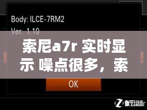 鸟惊鱼骇 第3页
