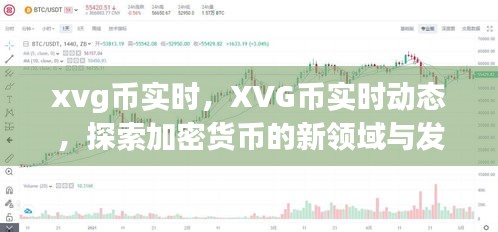 探索XVG币实时动态，加密货币的新领域与趋势分析