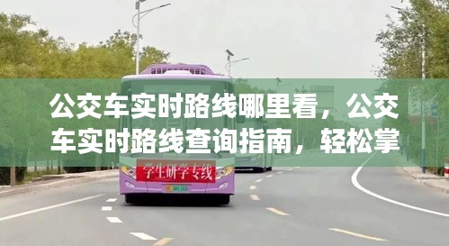 公交车实时路线查询指南，轻松掌握出行信息，实时路线查询全攻略