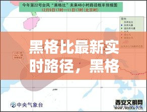 栖鸟于泉 第3页