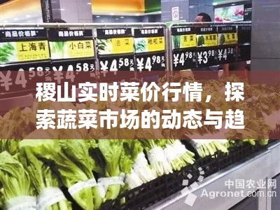 飞流直下 第3页