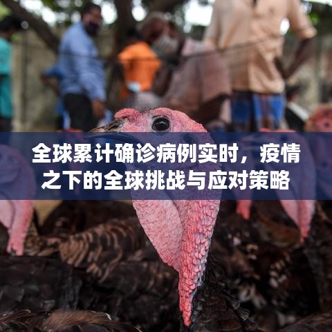 全球疫情挑战与应对策略，累计确诊病例实时更新