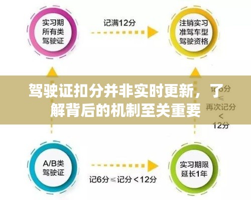 驾驶证扣分更新机制揭秘，并非实时更新，了解背后机制的重要性