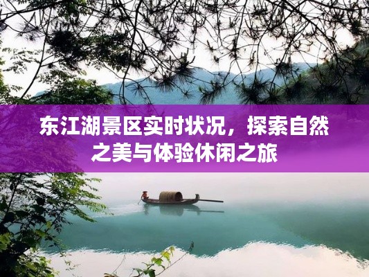 东江湖景区实时状况，自然之美与休闲之旅的探索