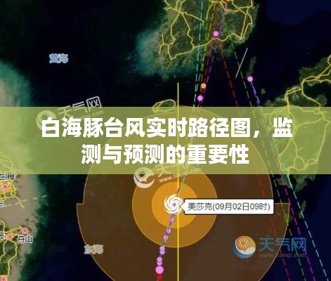 白海豚台风实时路径监测与预测的重要性