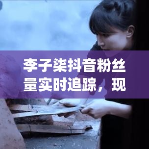 李子柒抖音粉丝力量与影响力深度探究，现象级网红背后的实时追踪与粉丝力量揭秘