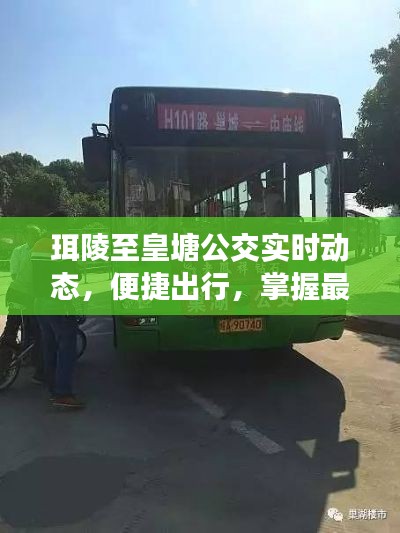 珥陵至皇塘公交实时动态，轻松掌握便捷出行时间
