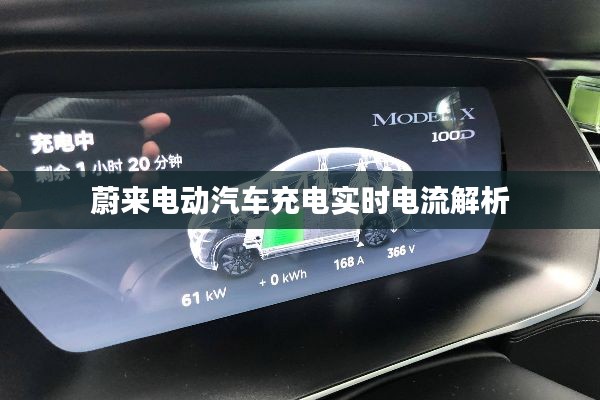 蔚来电动汽车充电实时电流详解