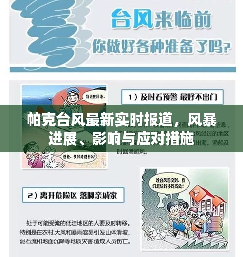 帕克台风最新实时报道，风暴进展、影响及应对举措