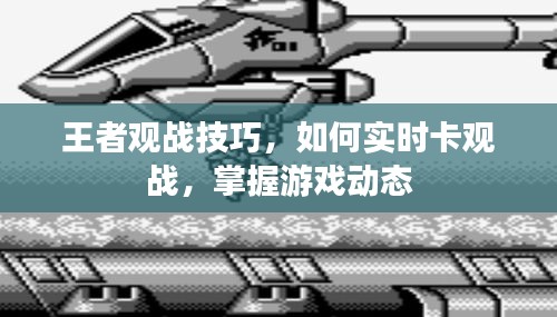 王者观战攻略，实时卡观战技巧，轻松掌握游戏动态