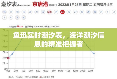 鱼迅实时潮汐表，精准把握海洋潮汐信息的领航者