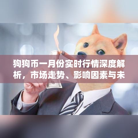 狗狗币一月份实时行情深度解析，市场走势、影响因素及未来展望展望