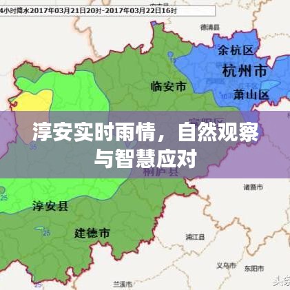 淳安实时雨情监测，自然观察与智慧应对策略