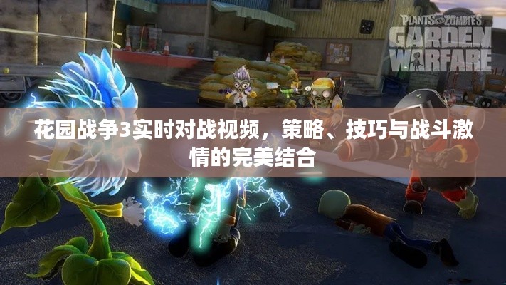 花园战争3实时对战精彩解析，策略、技巧与战斗激情的融合