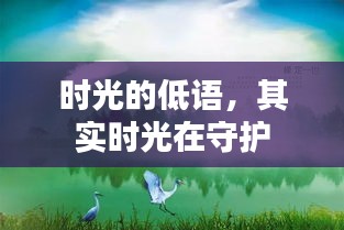 时光的低语，守护岁月的秘密