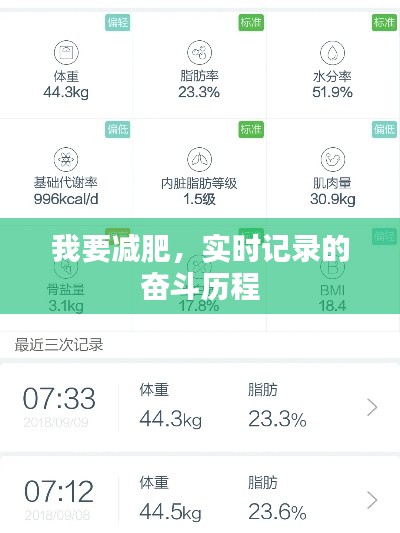 减肥之旅，实时记录我的奋斗历程