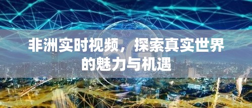 杳无音信 第3页