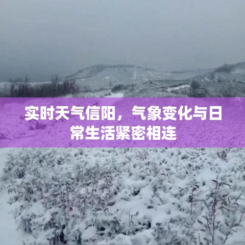 信阳实时天气气象变化与日常生活的紧密关联