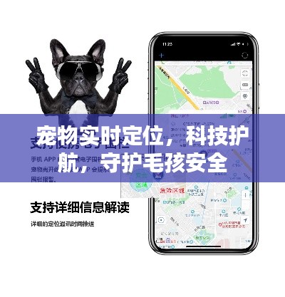 科技护航，宠物实时定位，守护毛孩安全