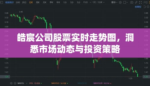 皓宸公司股票实时走势图，洞悉市场动态，把握投资策略