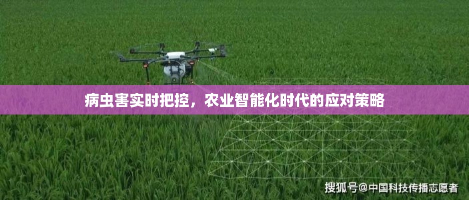 农业智能化时代，病虫害实时把控应对策略