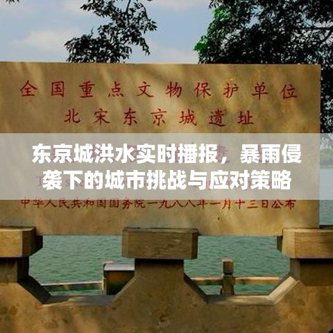 东京暴雨引发洪水危机，挑战与应对策略实时播报