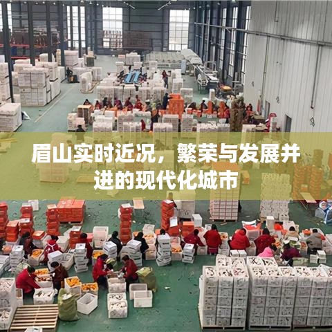 眉山，现代化城市的繁荣与发展同步前行
