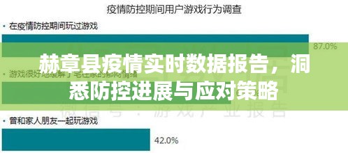 赫章县疫情实时数据报告，防控进展与应对策略解析