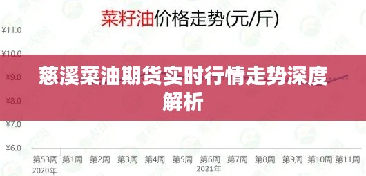 慈溪菜油期货实时行情深度解析及走势预测