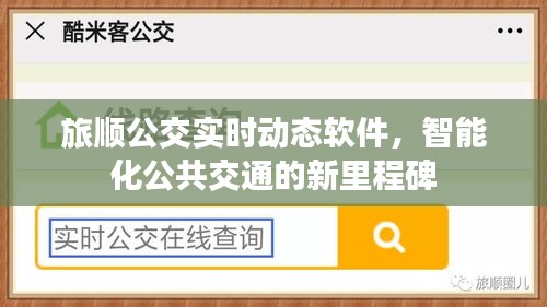 旅顺公交实时动态软件，智能化公共交通新里程碑