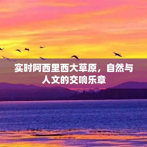 阿西里西大草原，自然与人文的交响乐章实时体验
